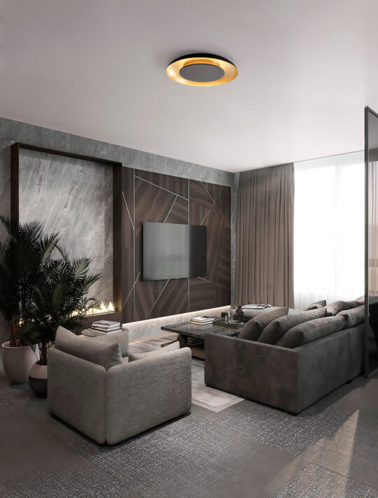 DEKORATIVNA PLAFONJERA