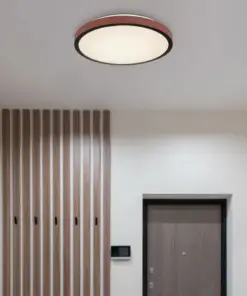 PLAFONJERA LED 24W